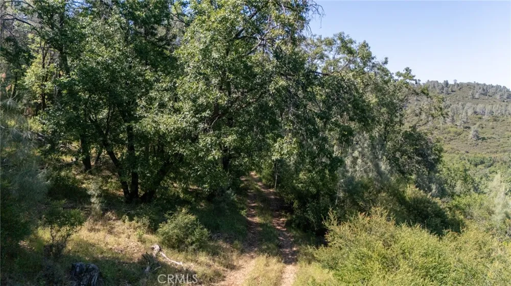 13520 Point Lakeview Lower Lake, CA 95457