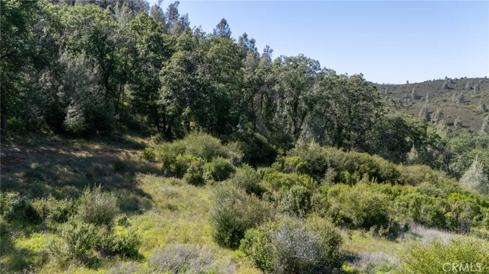 13520 Point Lakeview Lower Lake, CA 95457