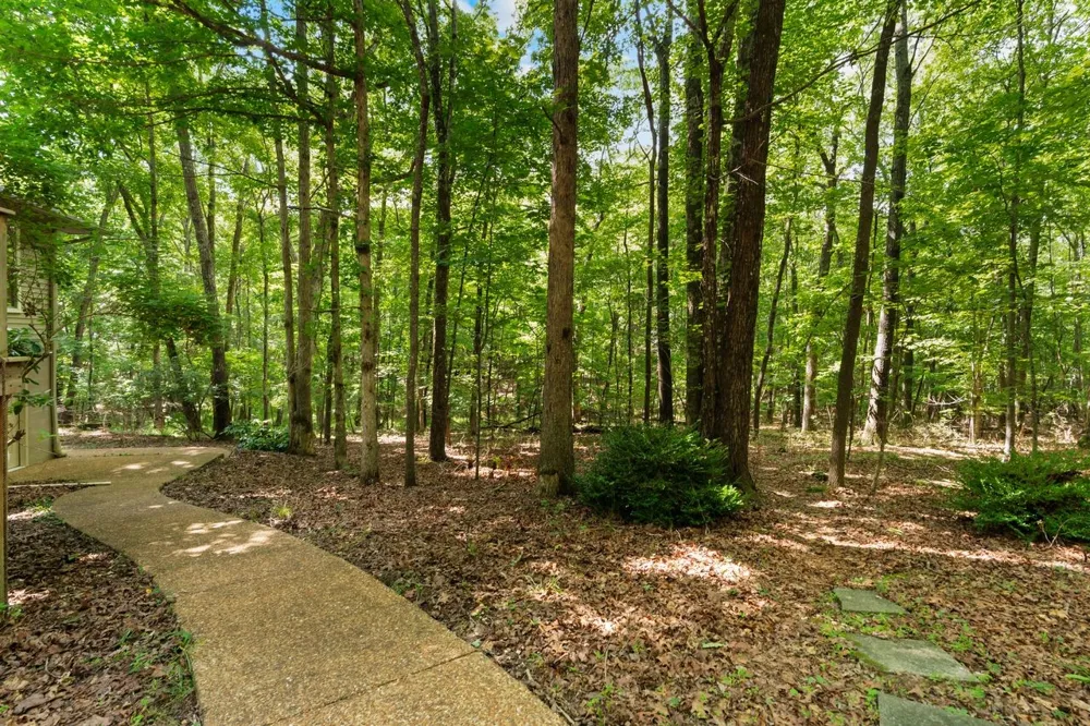 1637 Clifftops Ave Monteagle, TN 37356