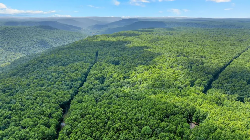 1637 Clifftops Ave Monteagle, TN 37356