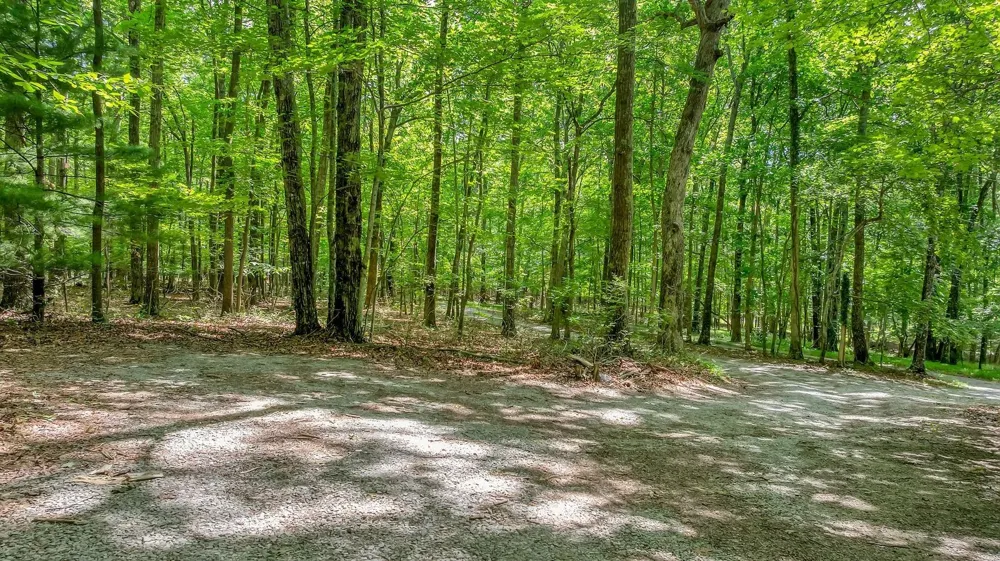 1637 Clifftops Ave Monteagle, TN 37356