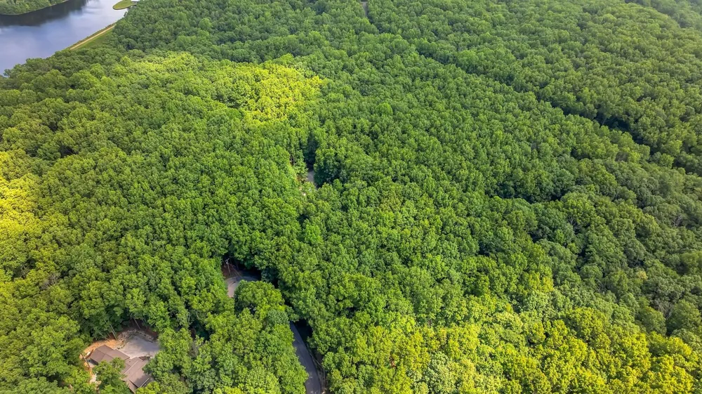 1637 Clifftops Ave Monteagle, TN 37356
