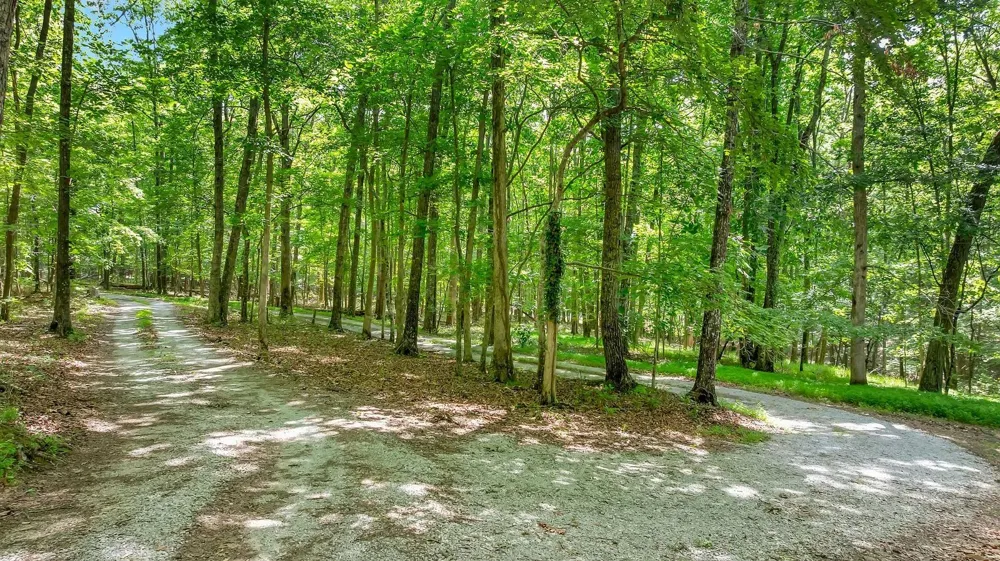 1637 Clifftops Ave Monteagle, TN 37356