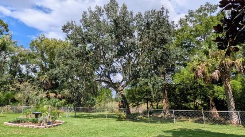 37400 SAINT LOUIS AVENUE Umatilla, FL 32784