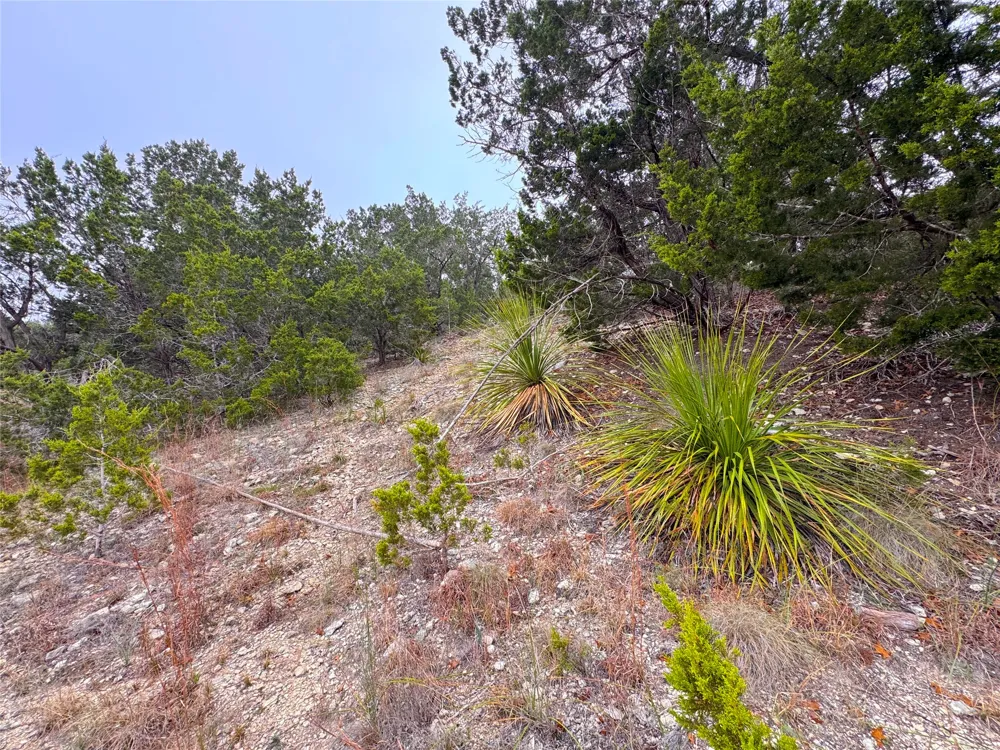 615 Caballo Trail Canyon Lake, TX 78133