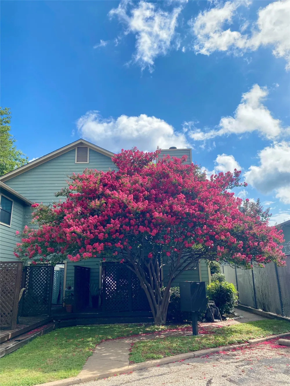 900 Taulbee Lane #106 Austin, TX 78757