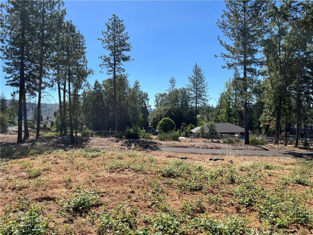 9244 Skyway Road Paradise, CA 95969