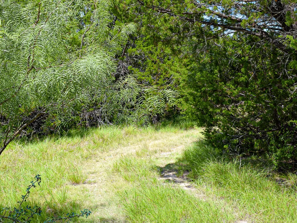 61 County Road 442 Goldthwaite, TX 76844