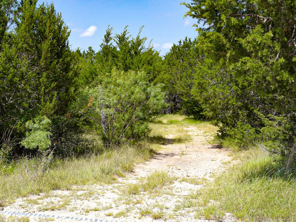 61 County Road 442 Goldthwaite, TX 76844