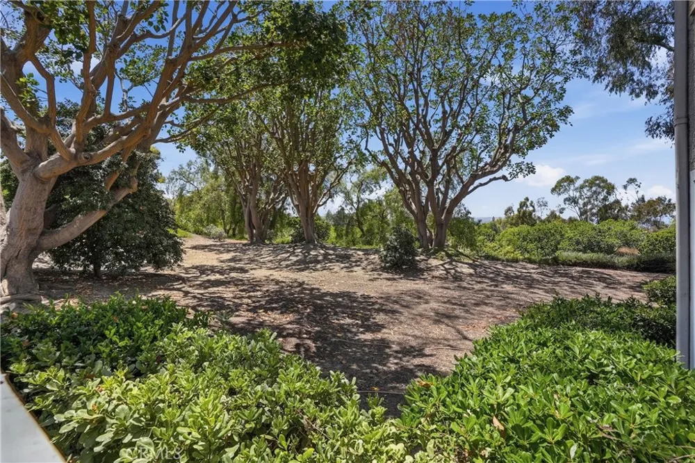 29121 Via Cerrito Laguna Niguel, CA 92677