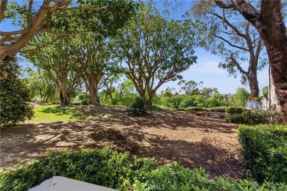 29121 Via Cerrito Laguna Niguel, CA 92677