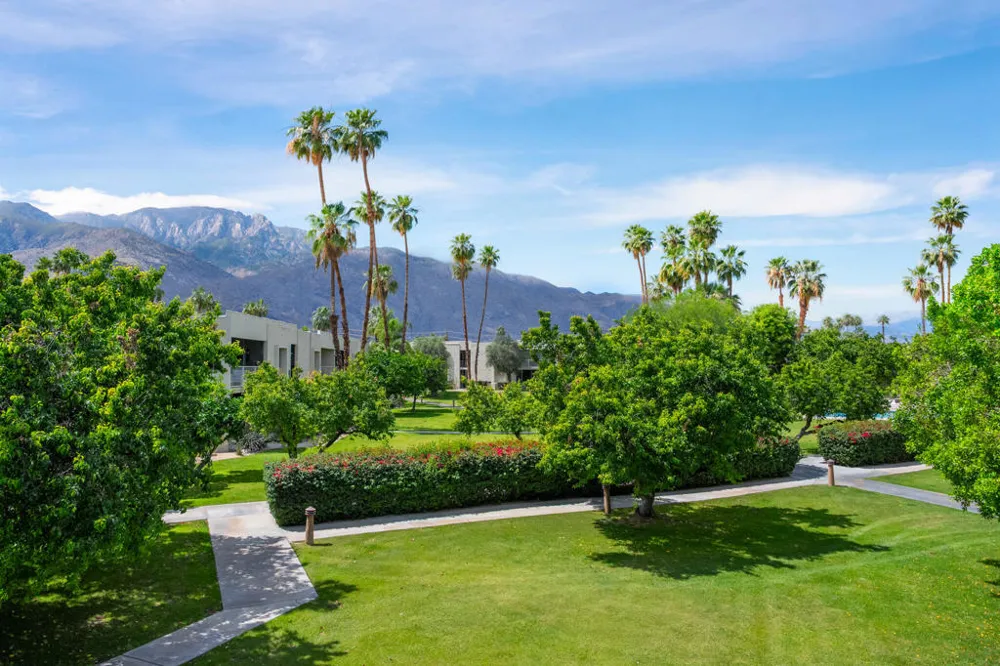 439 Desert Lakes Drive Drive Palm Springs, CA 92264