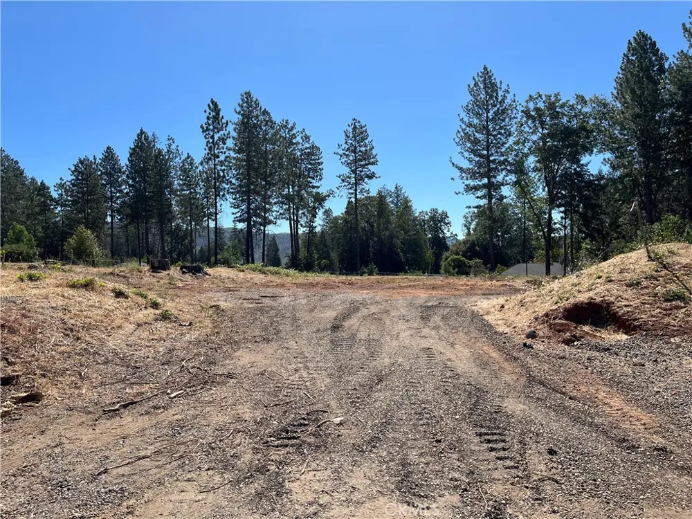 9238 Skyway Road Paradise, CA 95969