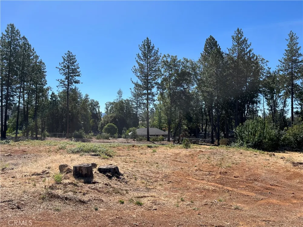 9238 Skyway Road Paradise, CA 95969