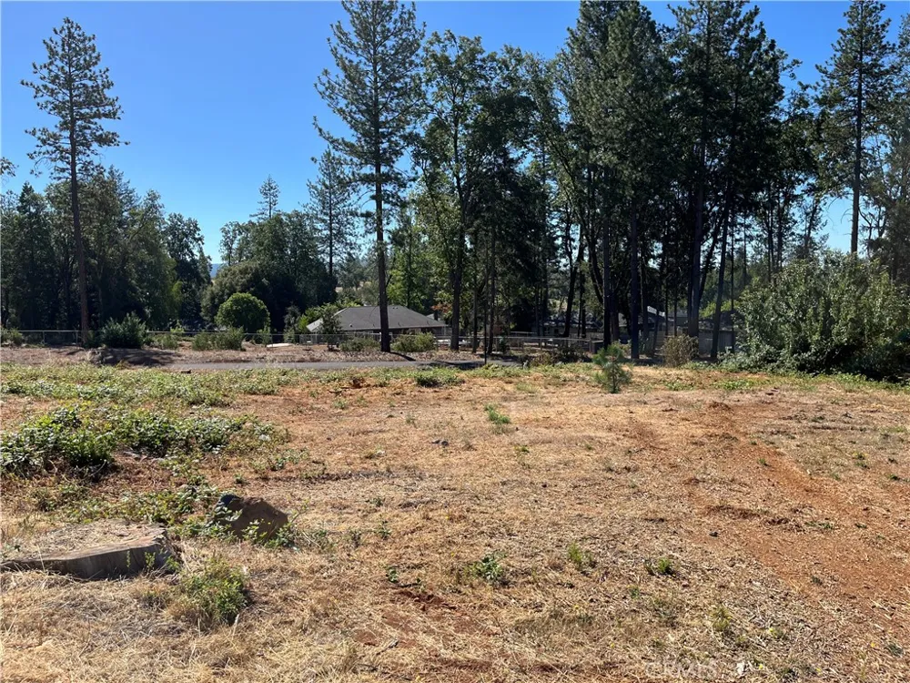 9238 Skyway Road Paradise, CA 95969