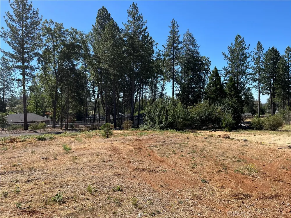 9238 Skyway Road Paradise, CA 95969