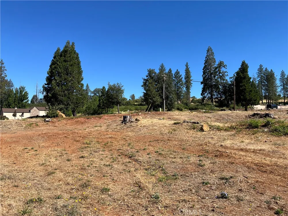 9238 Skyway Road Paradise, CA 95969