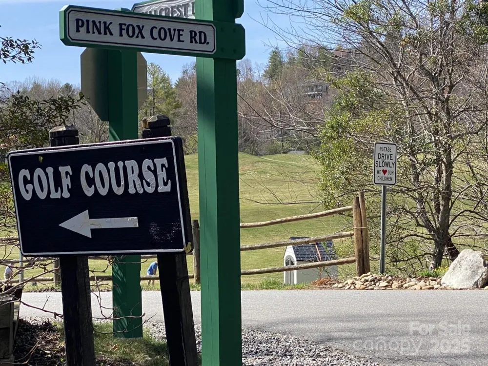 1 Pink Fox Cove Road Weaverville, NC 28787