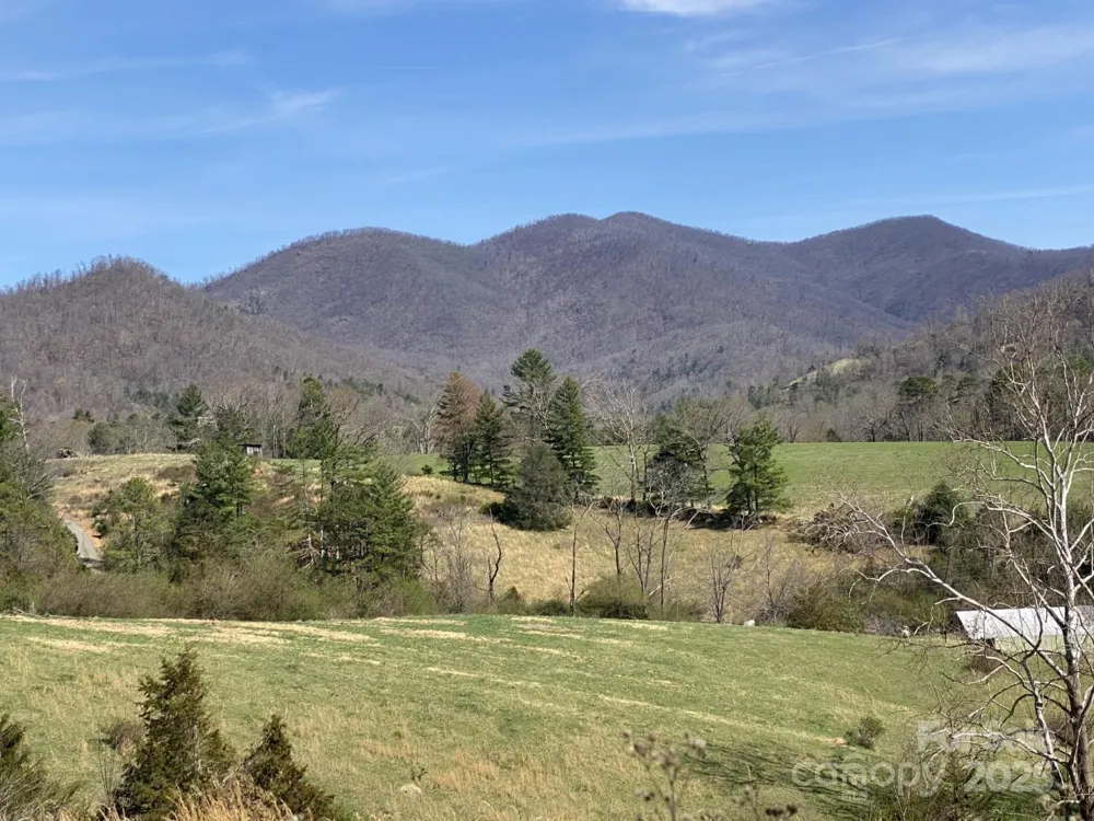 1 Pink Fox Cove Road Weaverville, NC 28787
