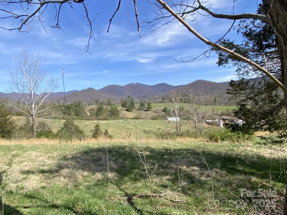 1 Pink Fox Cove Road Weaverville, NC 28787