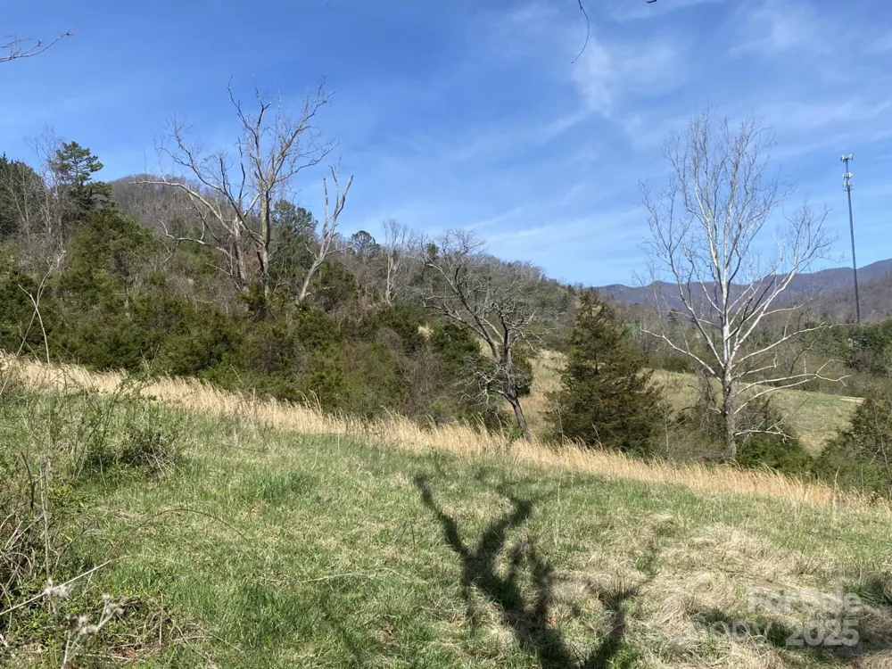 1 Pink Fox Cove Road Weaverville, NC 28787