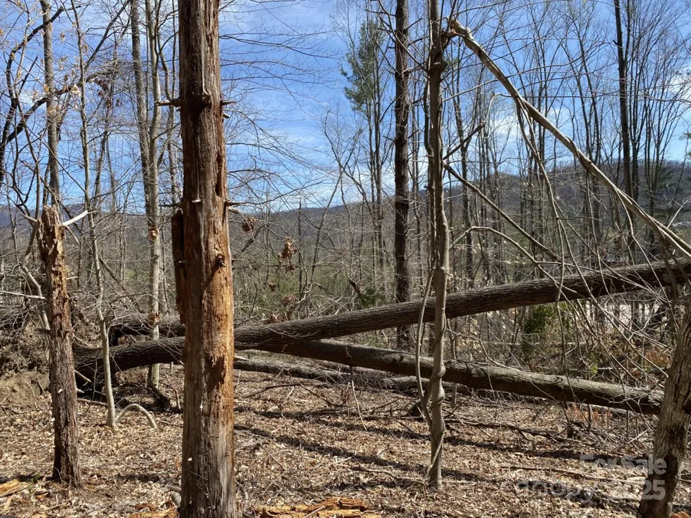 1 Pink Fox Cove Road Weaverville, NC 28787