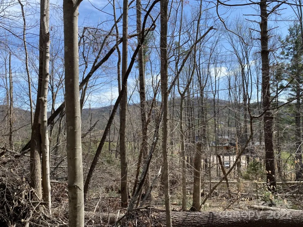 1 Pink Fox Cove Road Weaverville, NC 28787