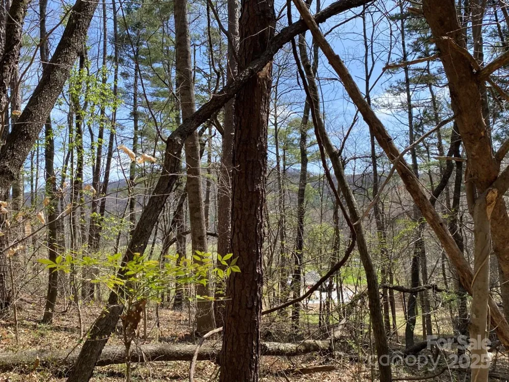 1 Pink Fox Cove Road Weaverville, NC 28787