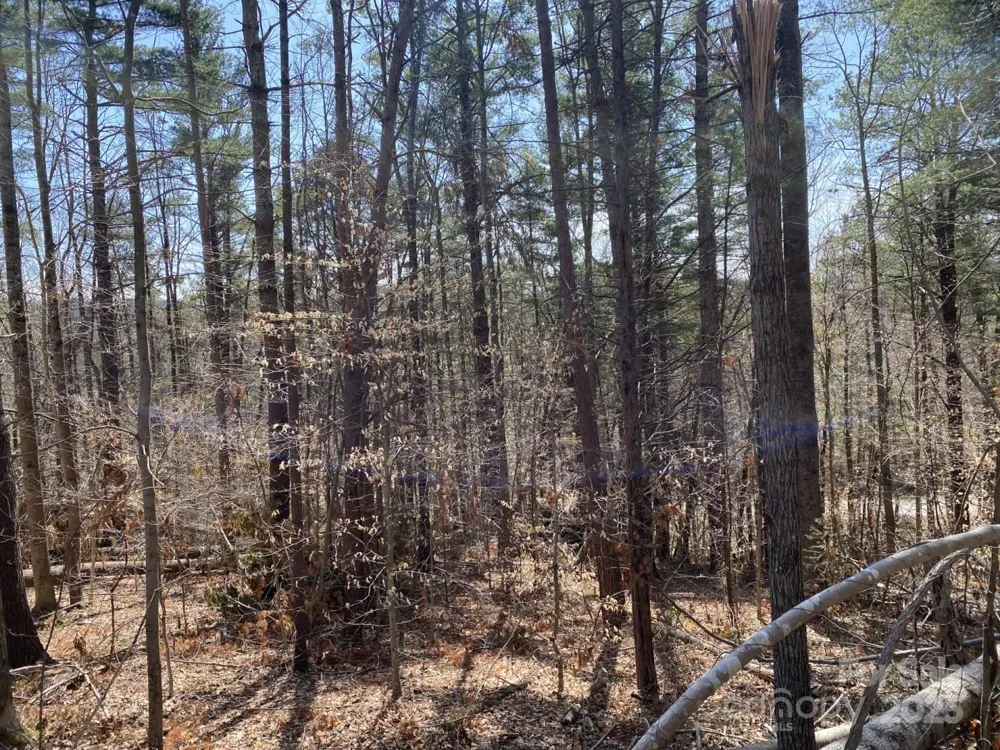 1 Pink Fox Cove Road Weaverville, NC 28787