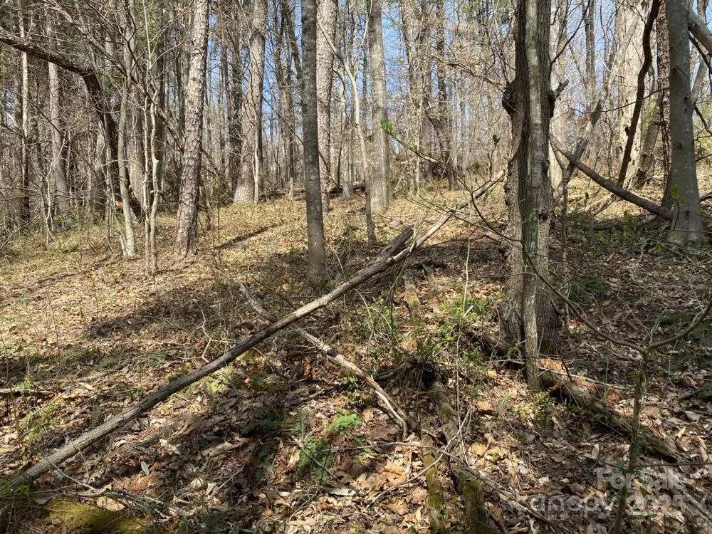 1 Pink Fox Cove Road Weaverville, NC 28787