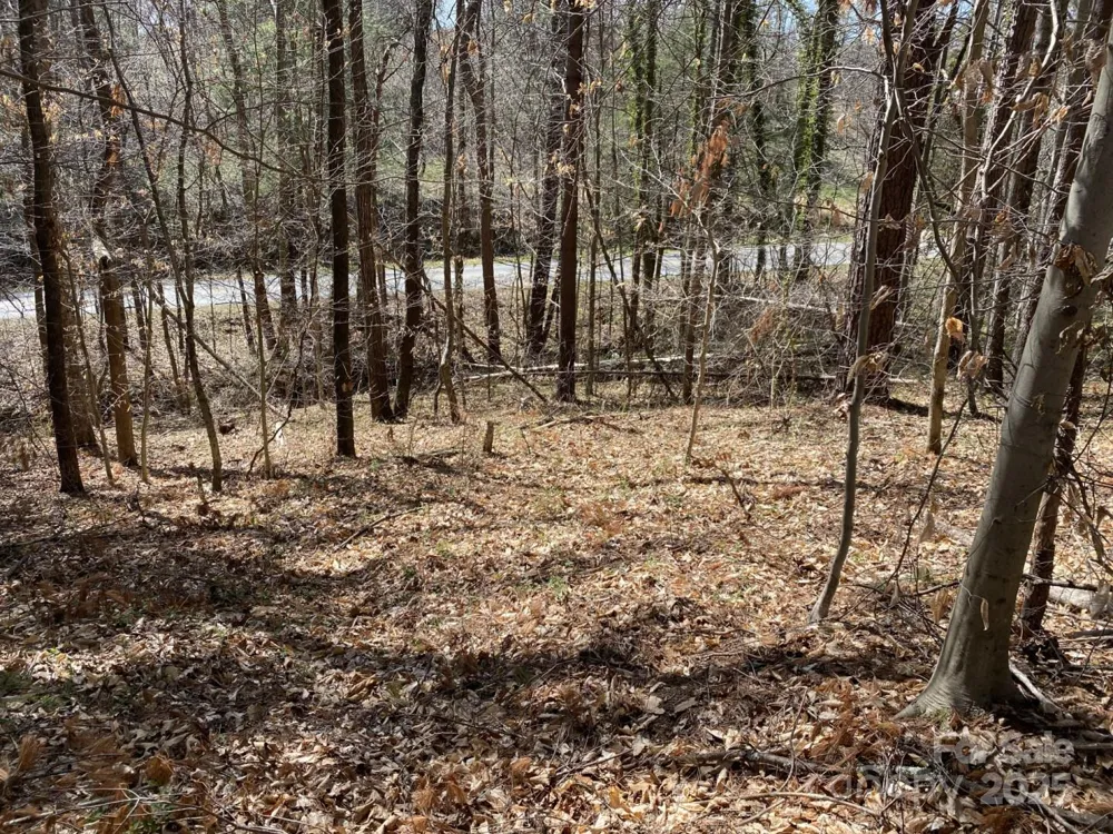 1 Pink Fox Cove Road Weaverville, NC 28787