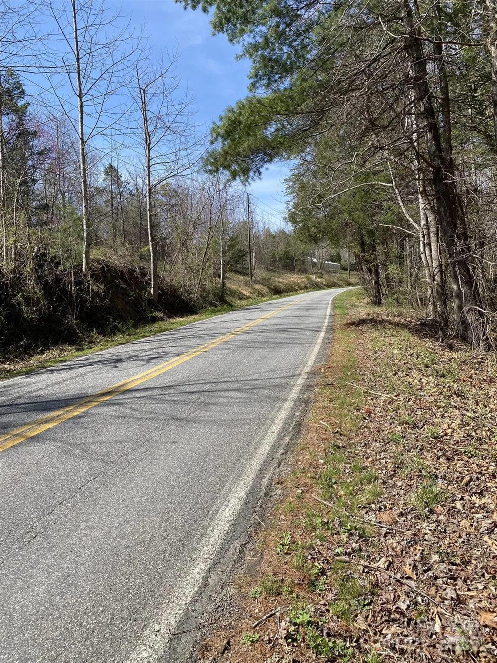 1 Pink Fox Cove Road Weaverville, NC 28787