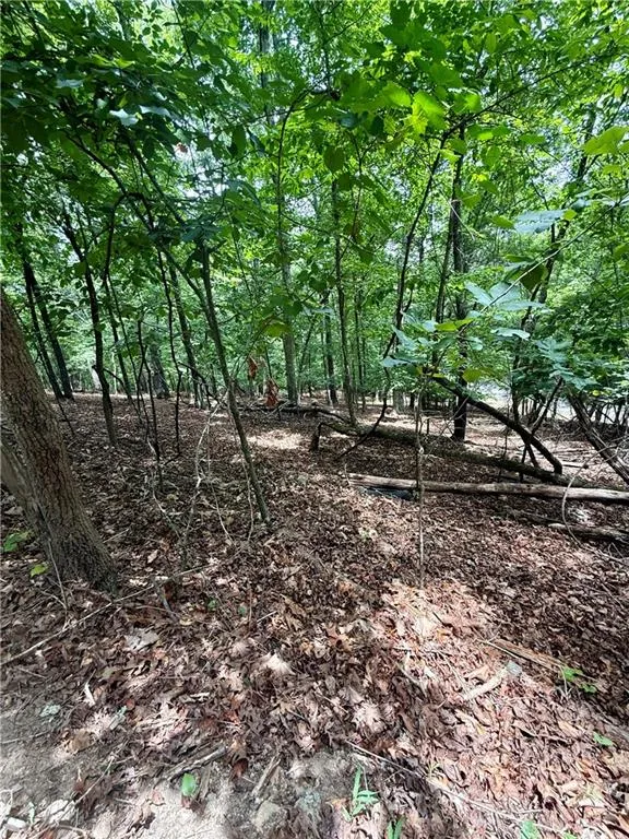 5563 Little River Circle Gainesville, GA 30506