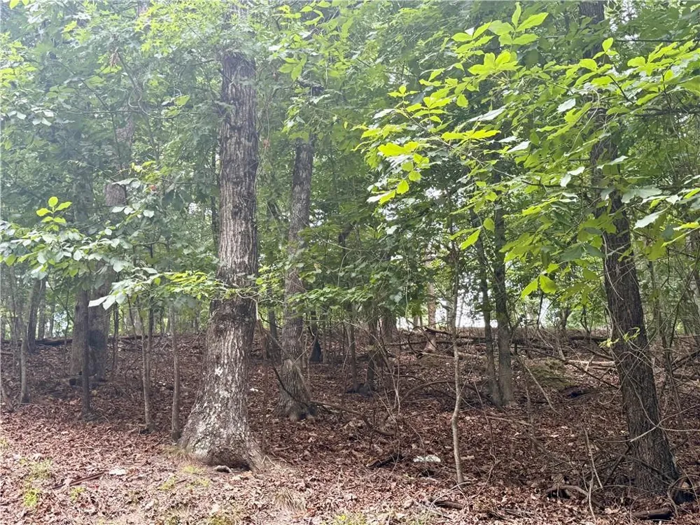 5563 Little River Circle Gainesville, GA 30506
