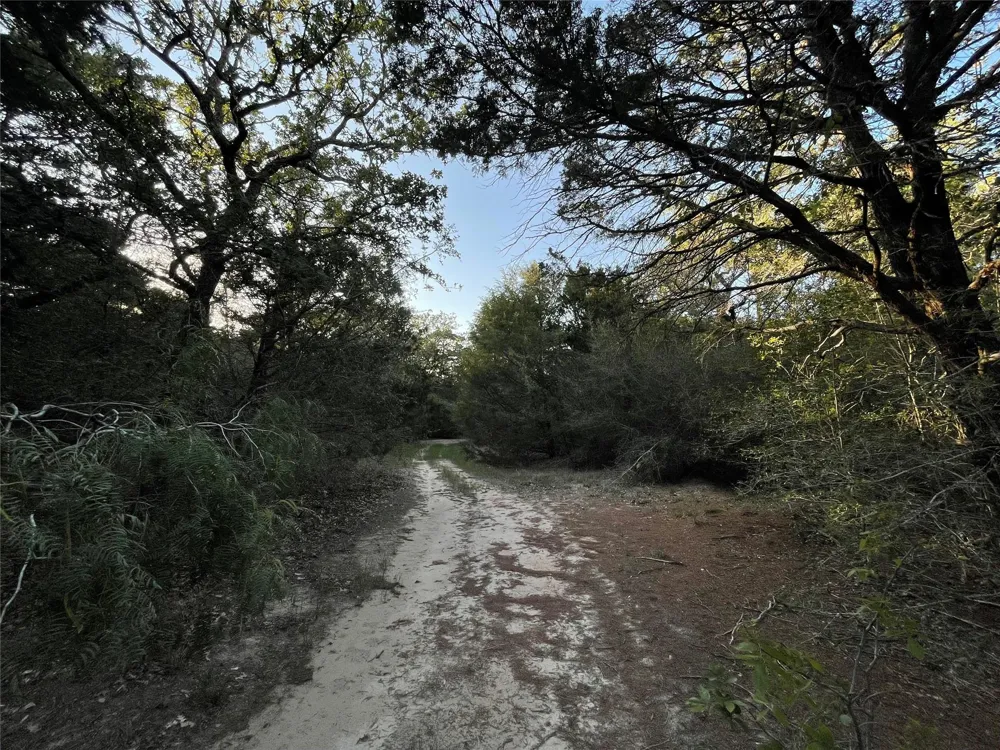 Mule Creek Road Harwood, TX 78632