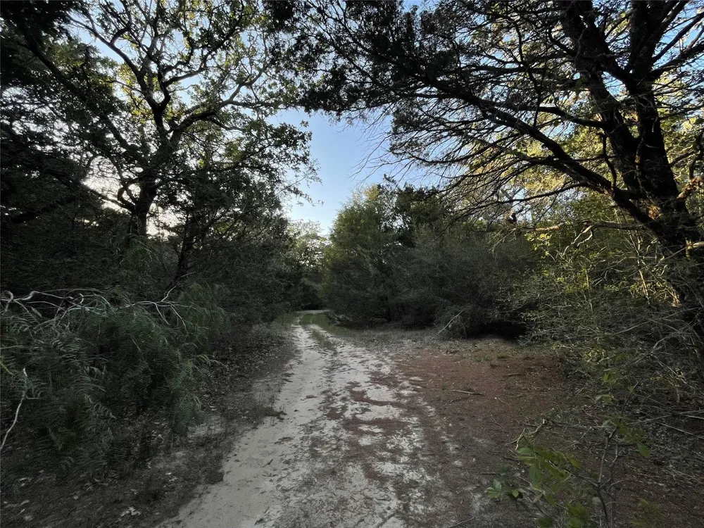 Mule Creek Road Harwood, TX 78632