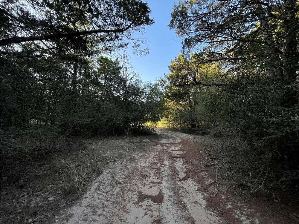 Mule Creek Road Harwood, TX 78632