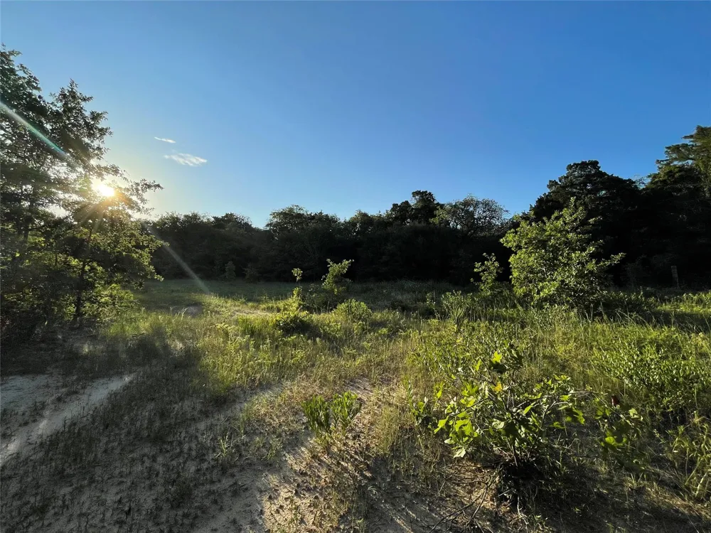 Mule Creek Road Harwood, TX 78632