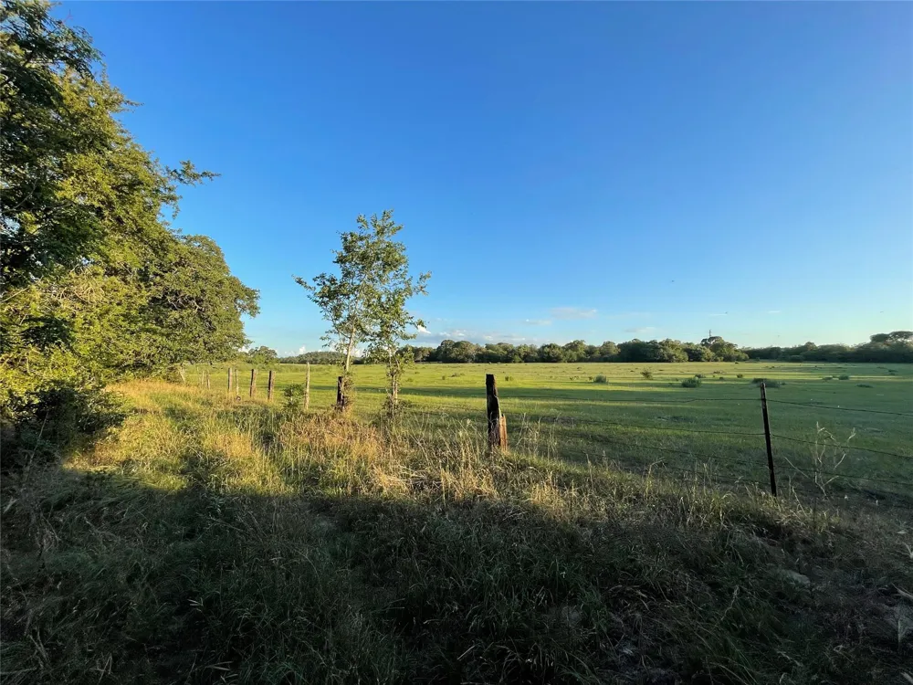 Mule Creek Road Harwood, TX 78632