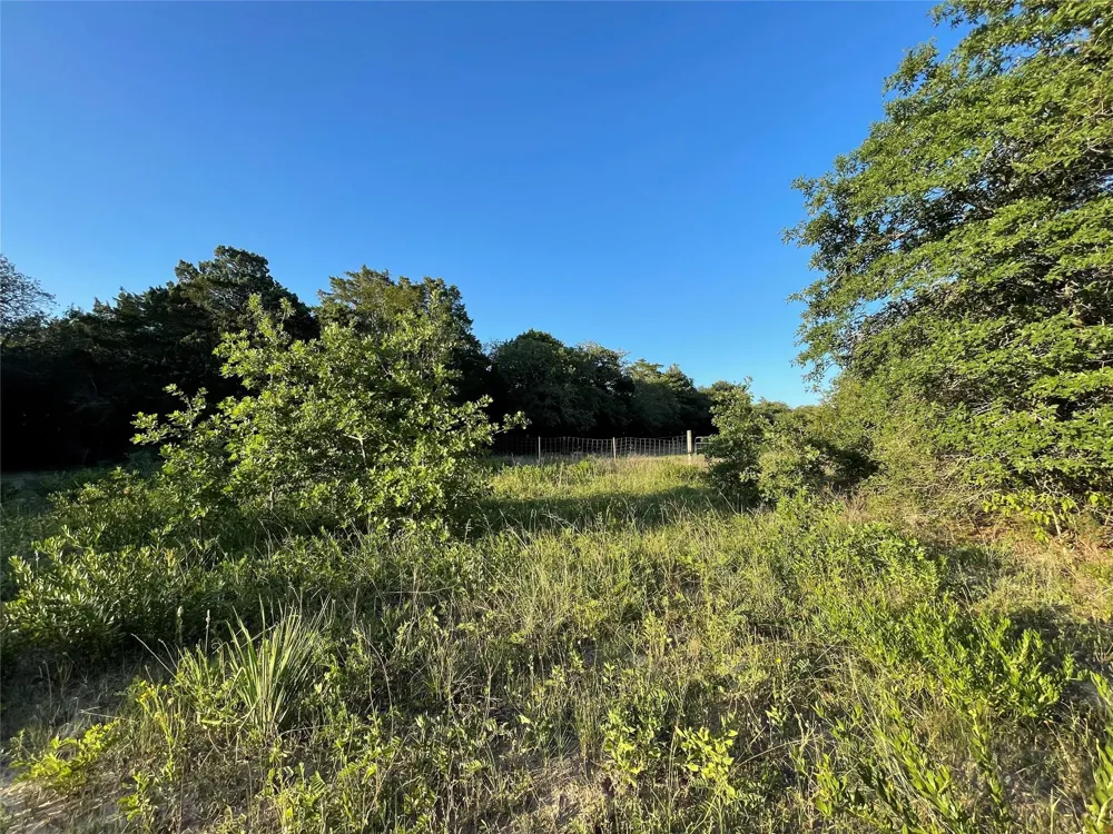 Mule Creek Road Harwood, TX 78632