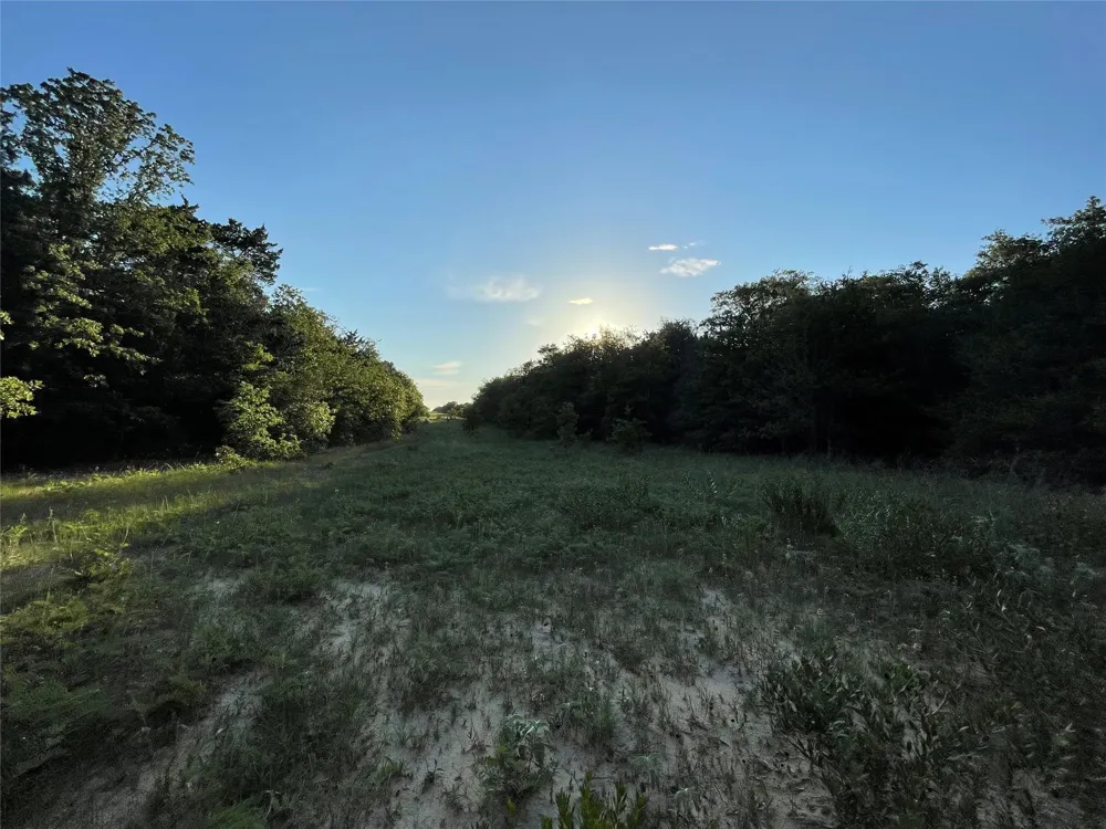 Mule Creek Road Harwood, TX 78632