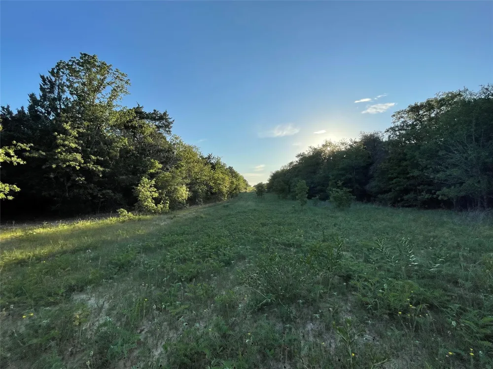 Mule Creek Road Harwood, TX 78632