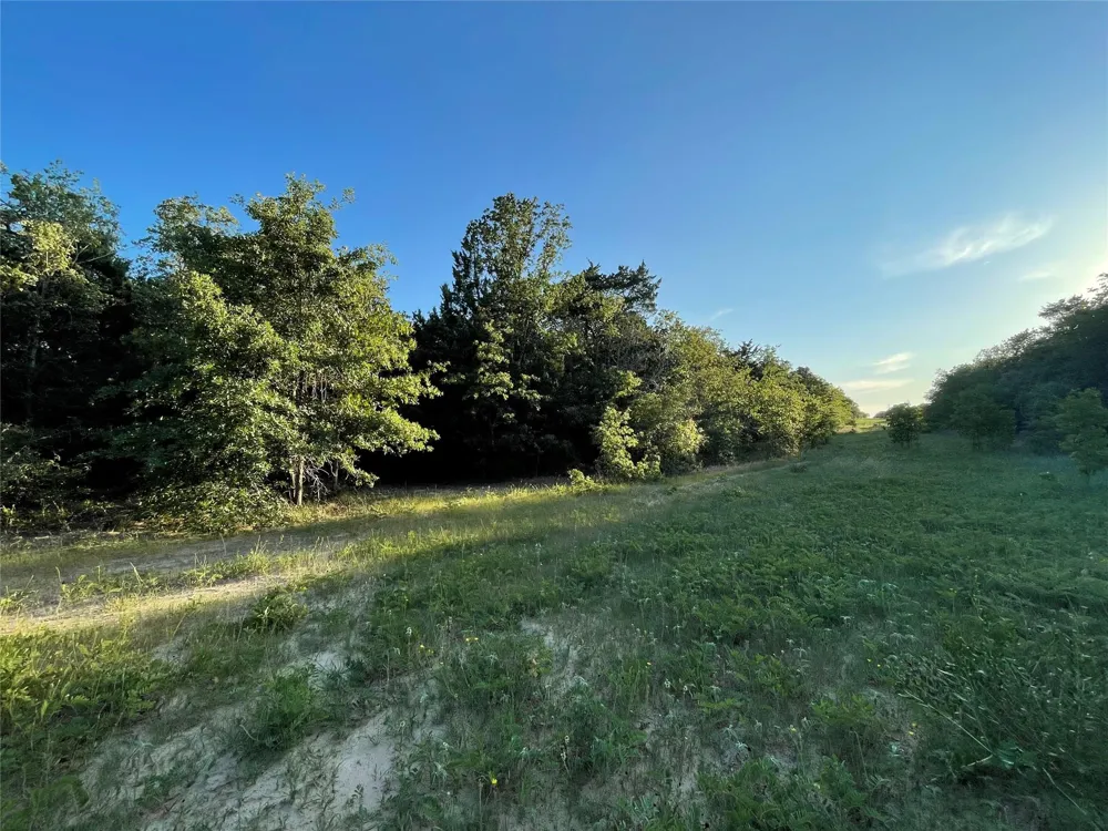 Mule Creek Road Harwood, TX 78632