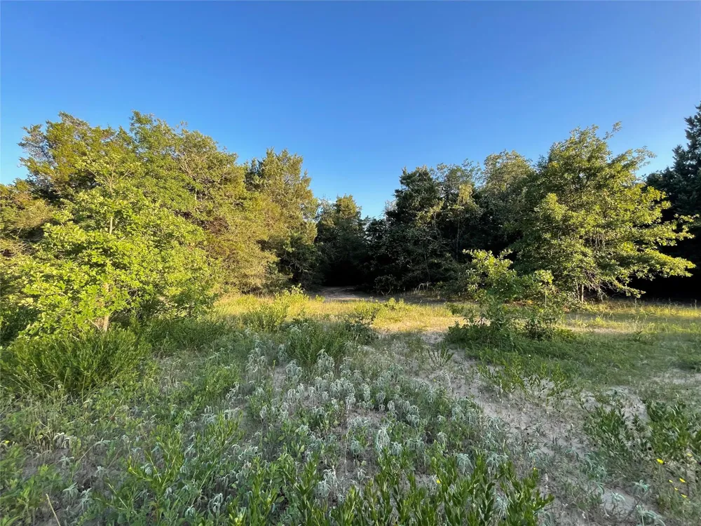 Mule Creek Road Harwood, TX 78632