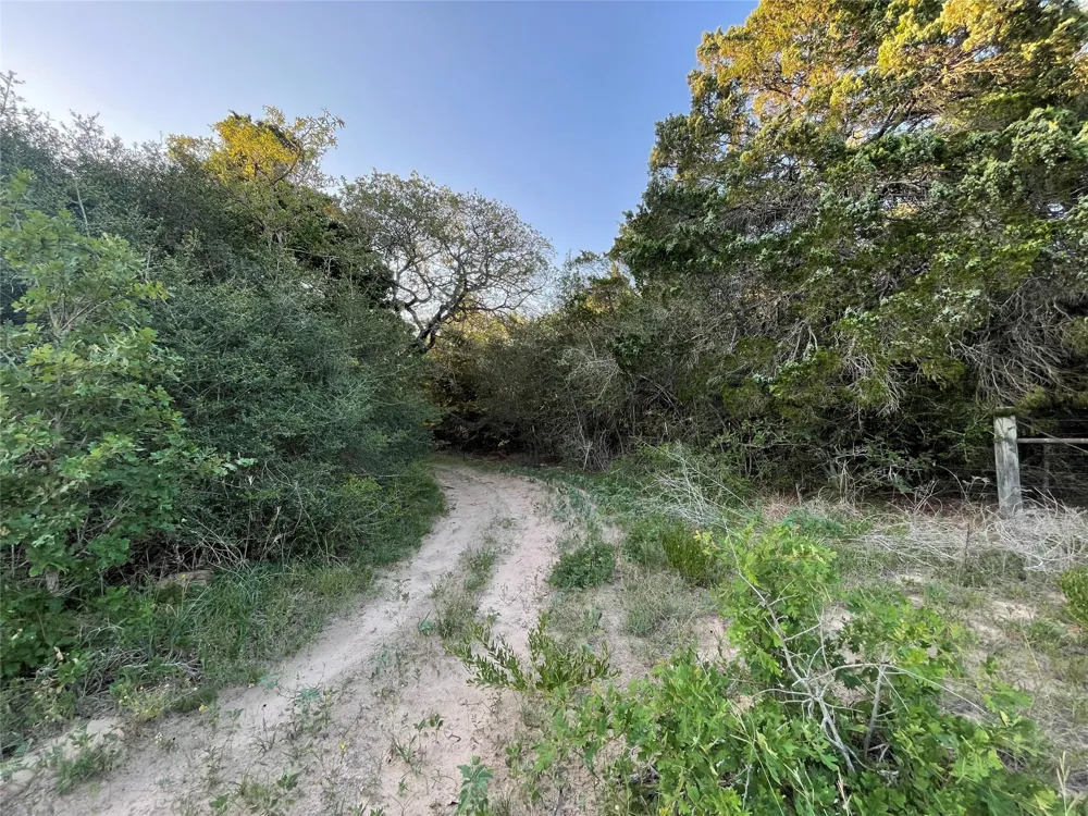 Mule Creek Road Harwood, TX 78632