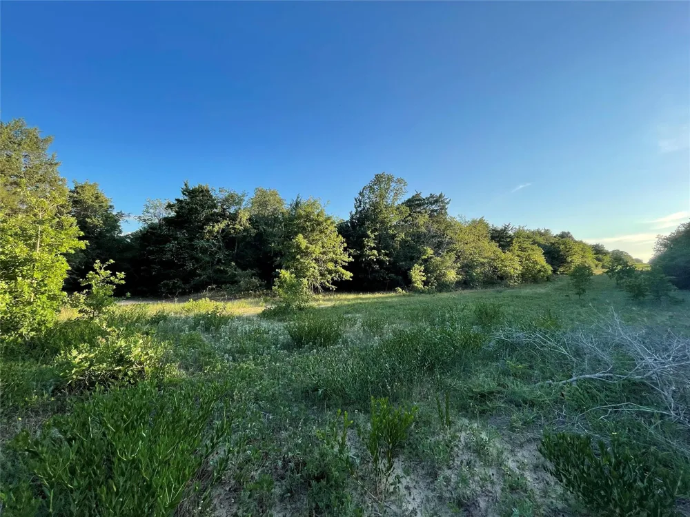 Mule Creek Road Harwood, TX 78632