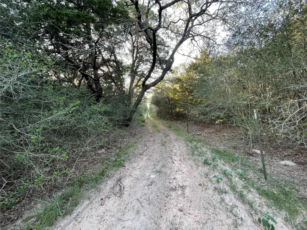 Mule Creek Road Harwood, TX 78632