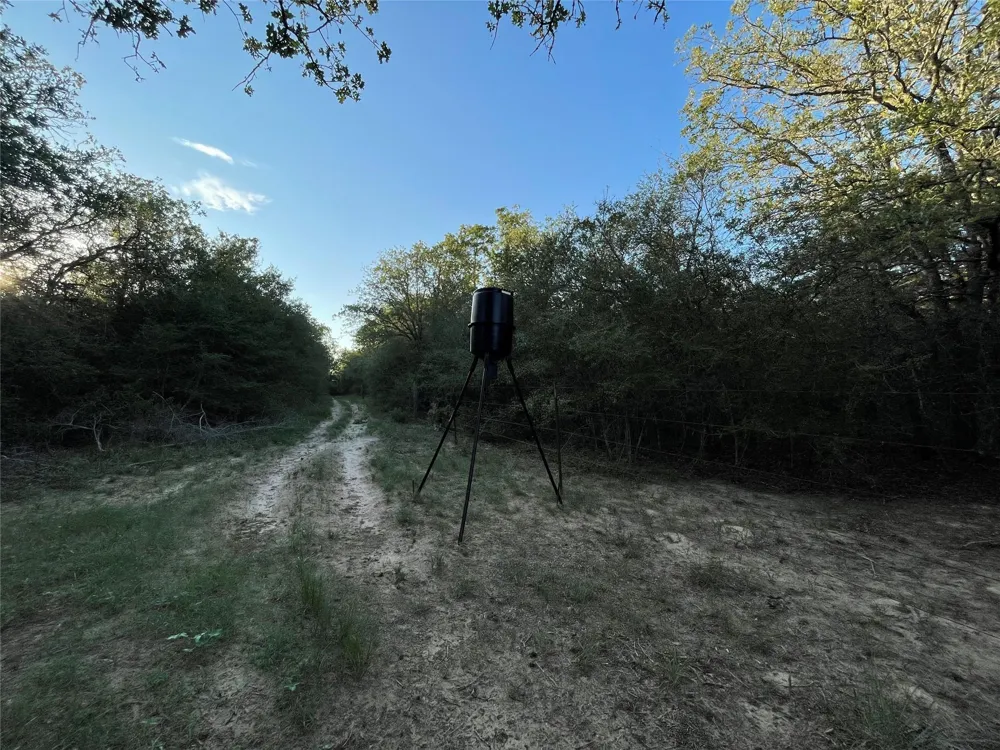 Mule Creek Road Harwood, TX 78632
