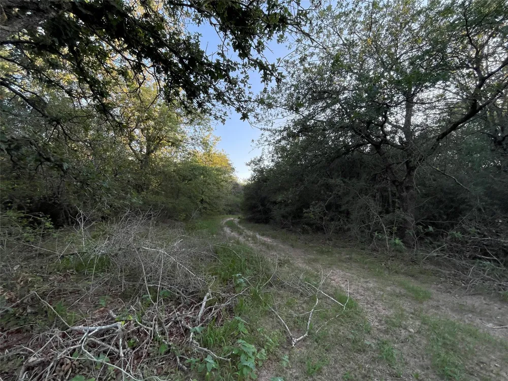 Mule Creek Road Harwood, TX 78632