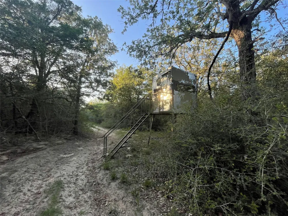 Mule Creek Road Harwood, TX 78632
